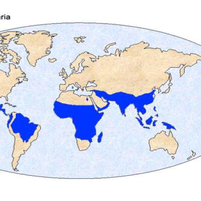 Worldwide distribution of malaria. (Copyright:CDC.