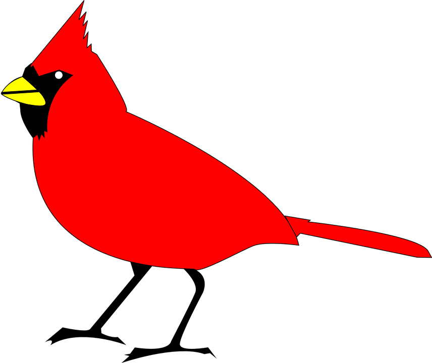 Cardinal Clipart With No Background.