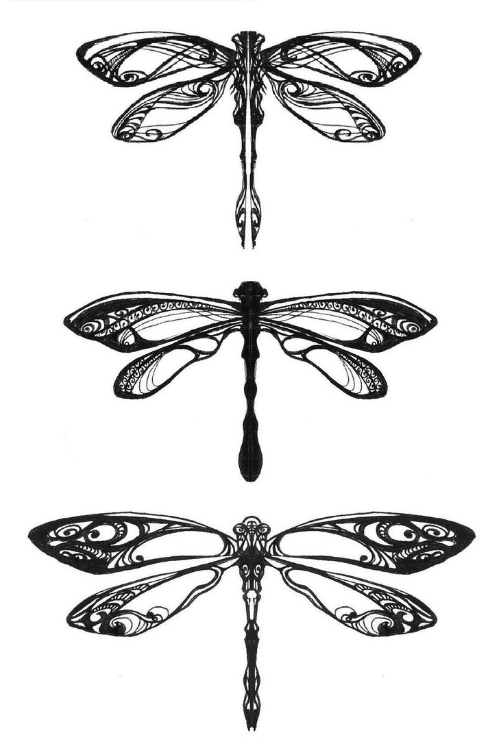Male dragonfly clipart 20 free Cliparts | Download images on Clipground ...