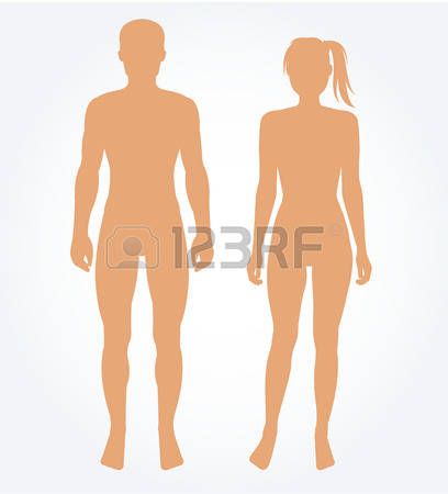 622,295 Males Stock Vector Illustration And Royalty Free Males Clipart.
