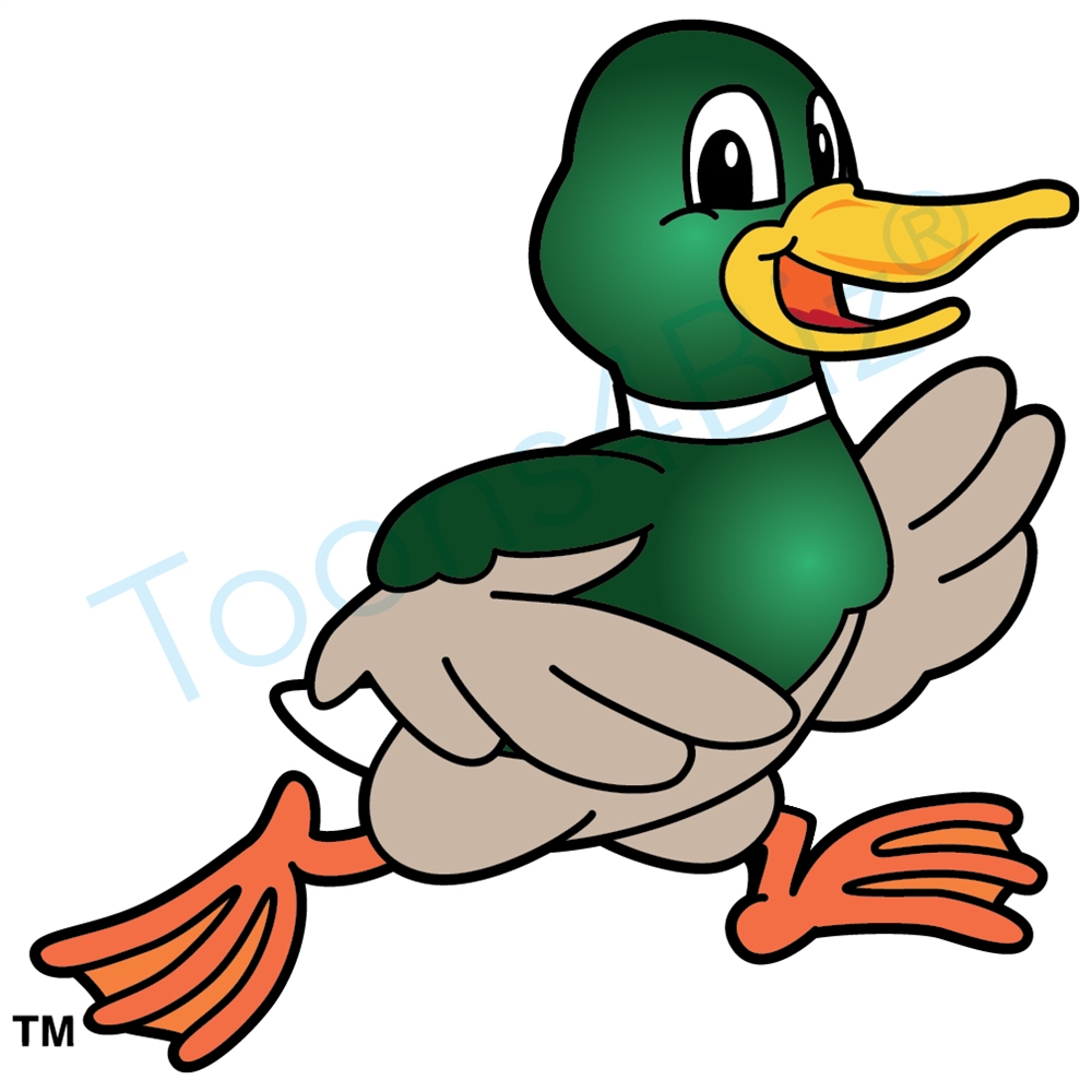 Mallard Duck Clipart Free Cliparts Download Images On Clipground