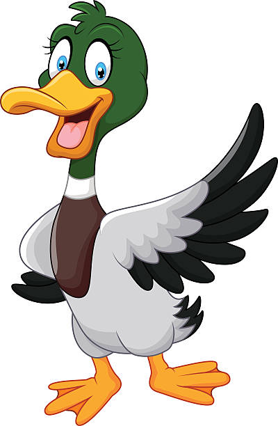 mallard duck clipart free 10 free Cliparts | Download images on ...
