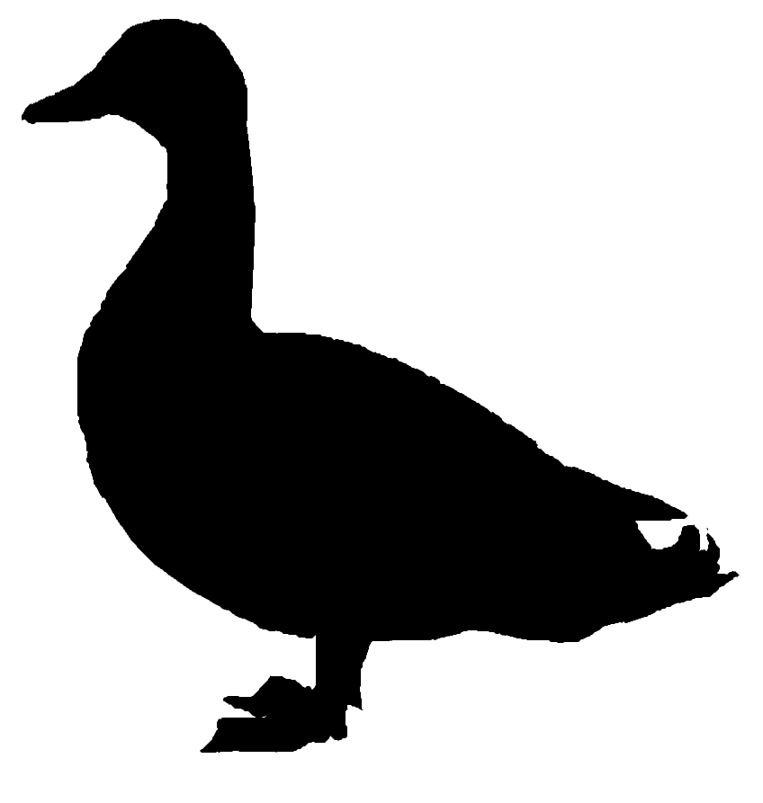 Donald Duck Mallard Goose Clip art.