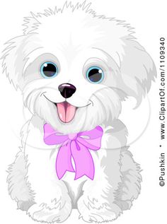 Maltese clipart 20 free Cliparts  Download images on 