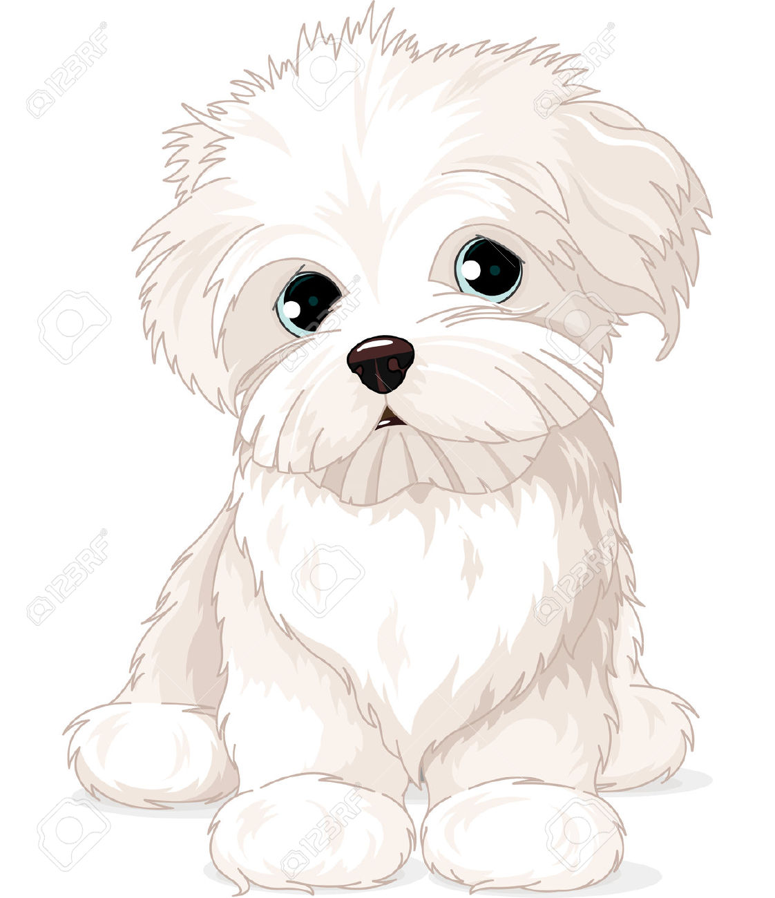 Maltese clipart - Clipground