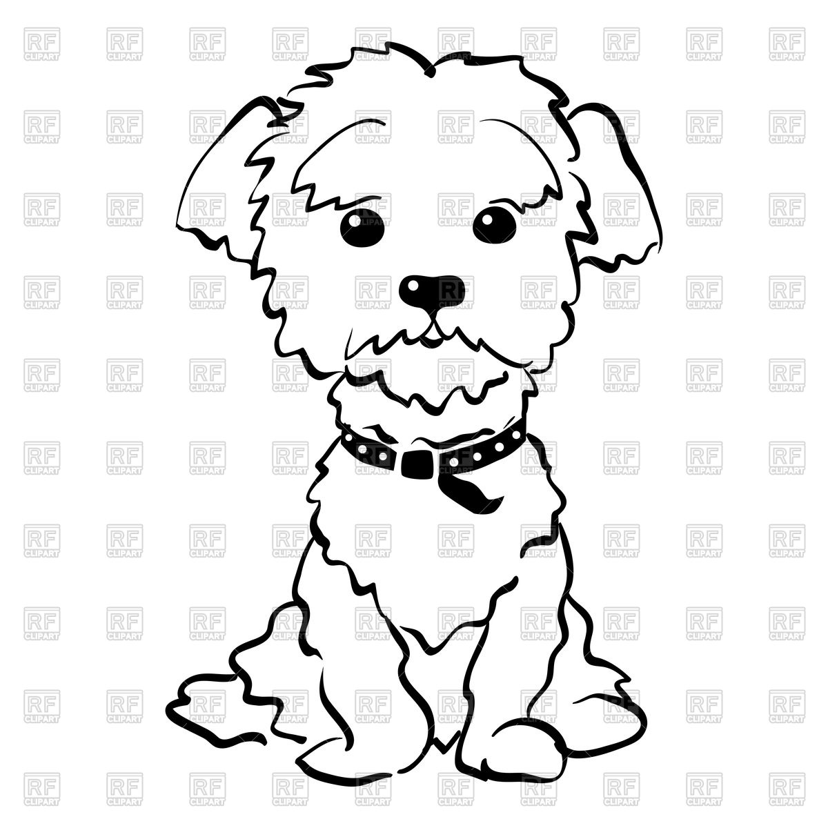 Funny dog maltese breed Stock Vector Image.