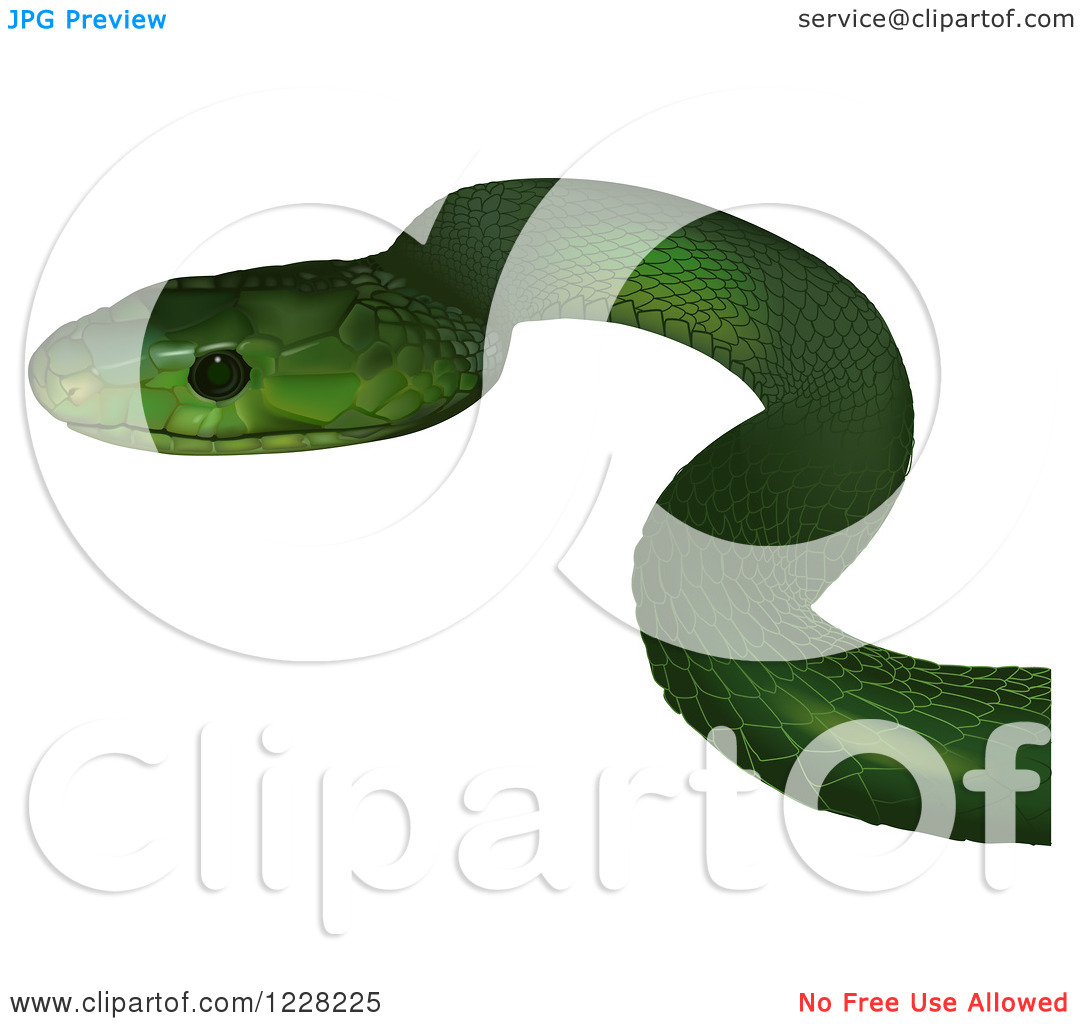 Clipart of an Eastern Green Mamba Snake.