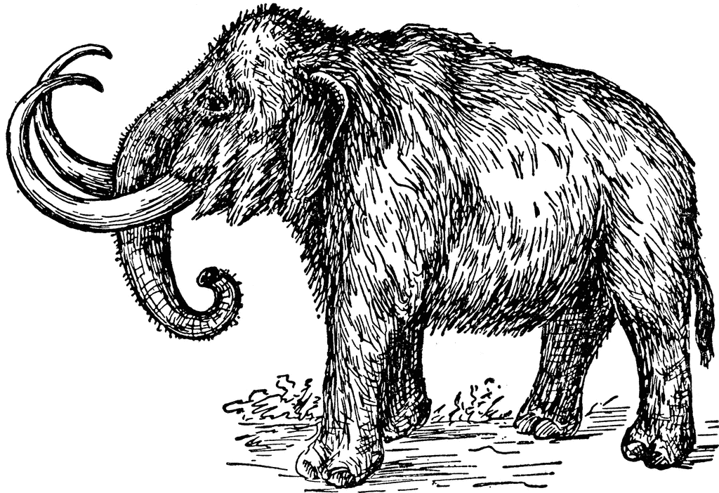 Mammoth Clipart.