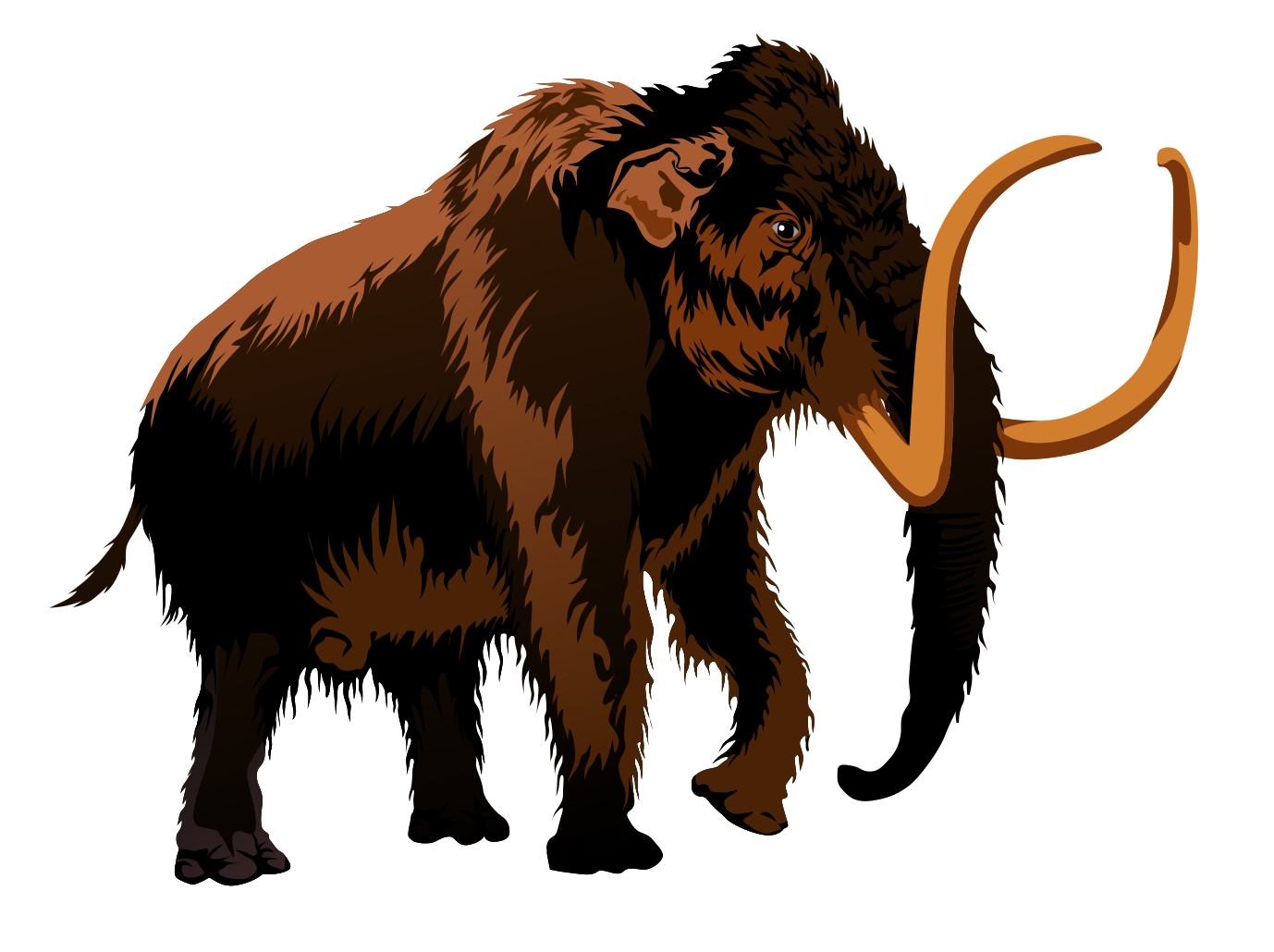 Model mammoth clipart 20 free Cliparts | Download images on Clipground 2022
