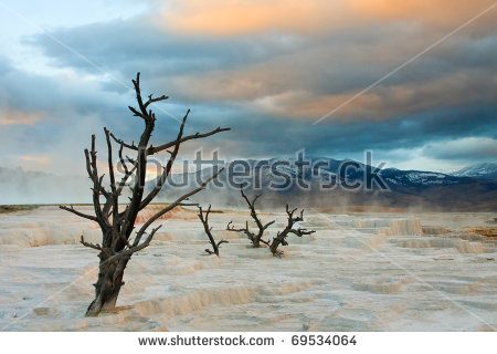 Mammoth Hot Springs Stock Images, Royalty.