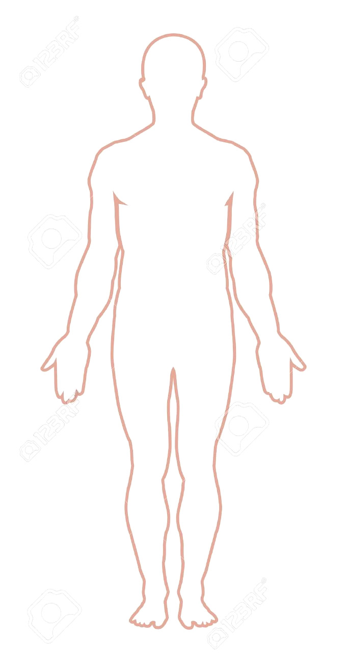 Body clipart person, Body person Transparent FREE for.