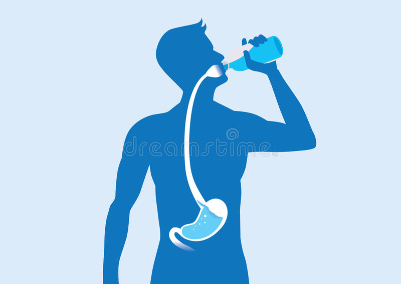 Drinking Water Stock Illustrations.
