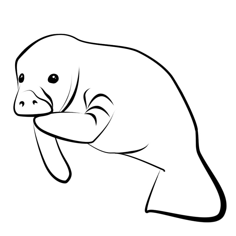Free Manatee Clipart Black And White, Download Free Clip Art.