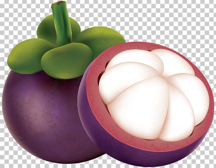 Purple Mangosteen PNG, Clipart, Cartoon, Chart, Clipart.