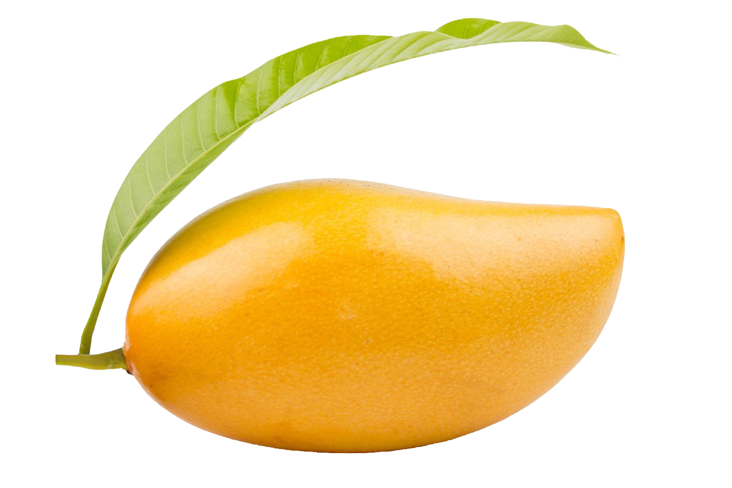 mango png 10 free Cliparts | Download images on Clipground 2021