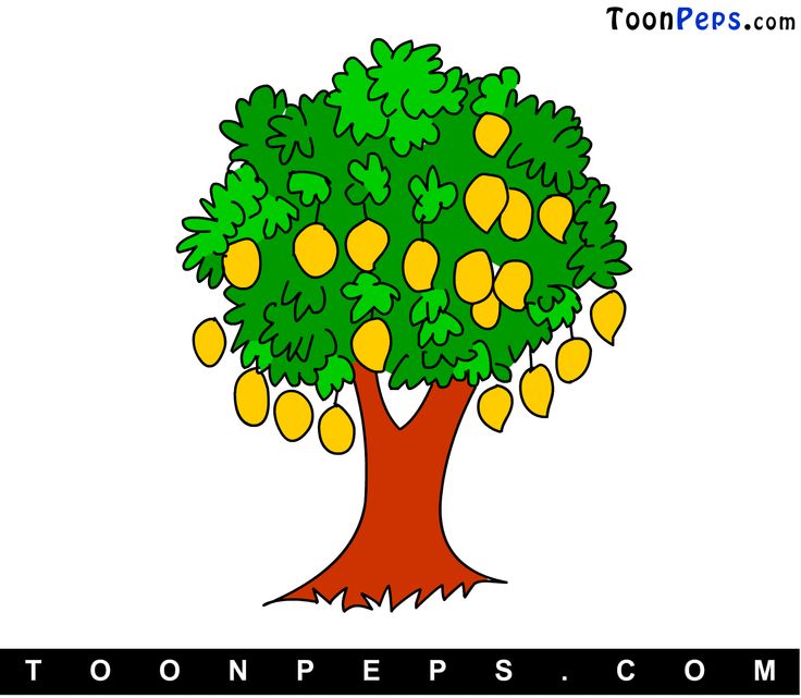 Mango tree clipart 20 free Cliparts | Download images on Clipground 2022