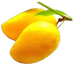 Mango Clipart.