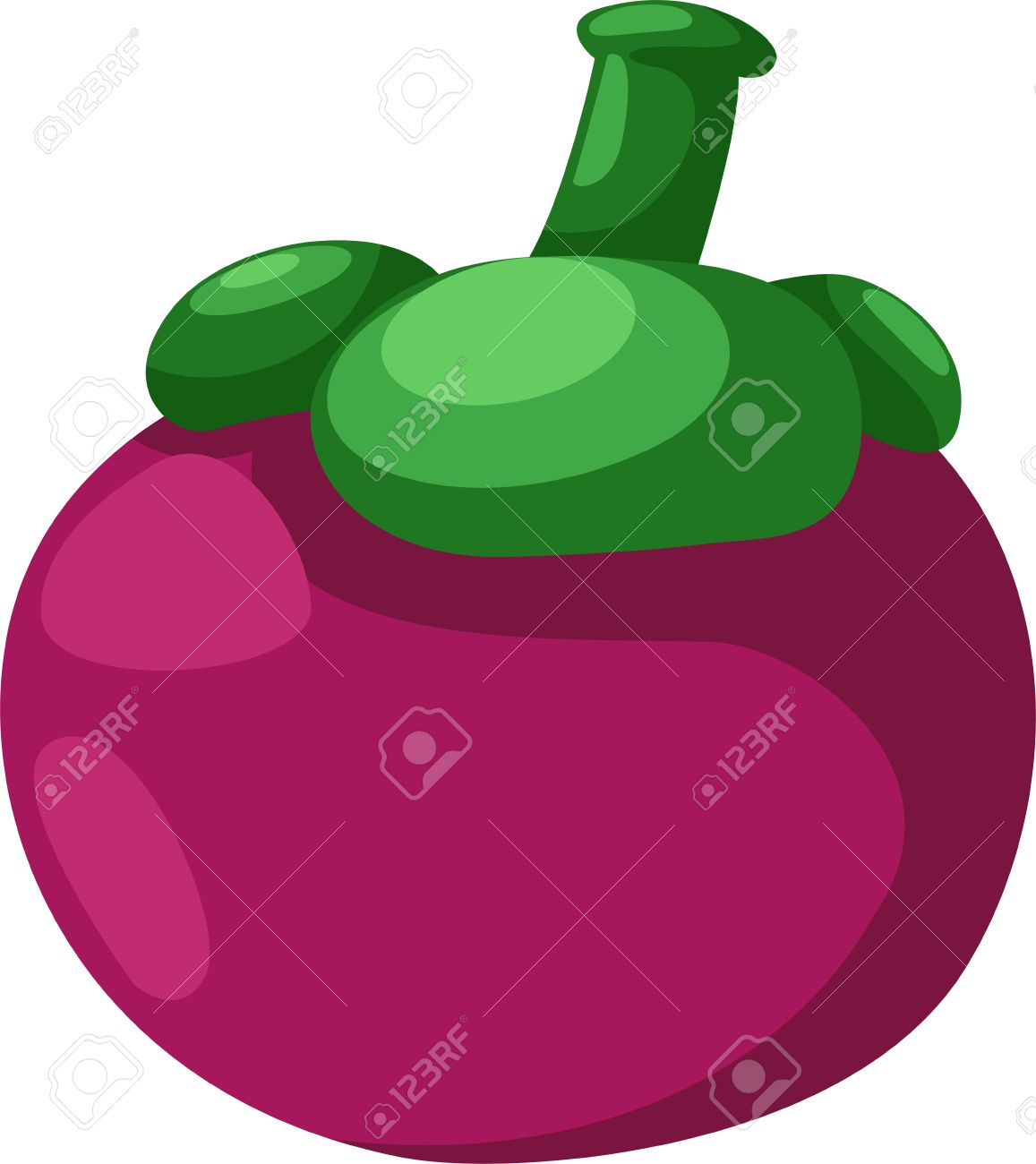 188 Purple Mangosteen Stock Vector Illustration And Royalty Free.