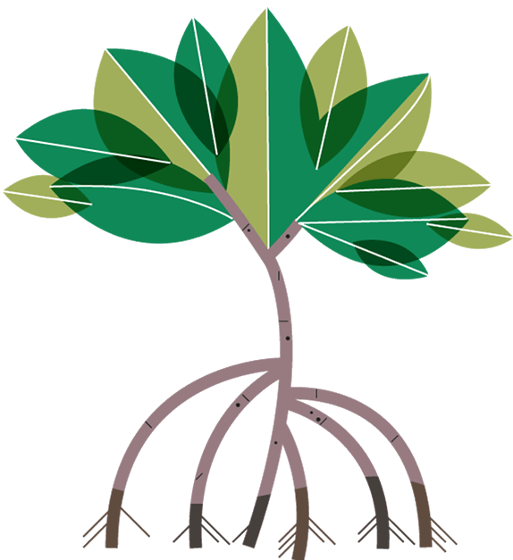 Mangroves clipart - Clipground