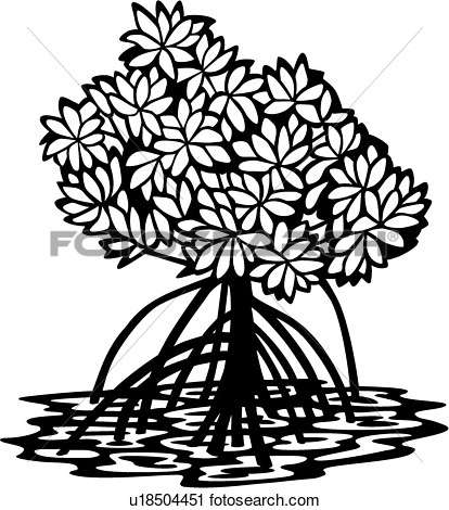 Mangrove Tree Coloring Page