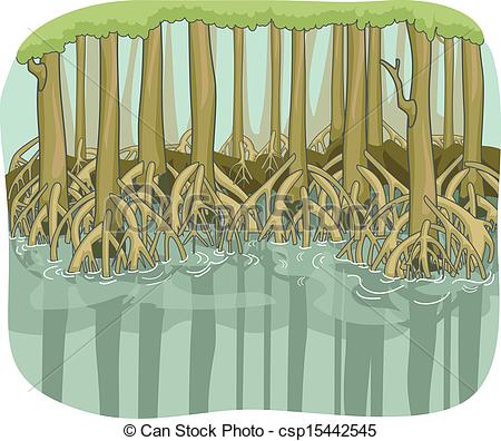 Mangrove Illustrations and Clipart. 111 Mangrove royalty free.