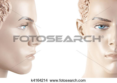 Manikin Face Clipart Free Cliparts Download Images On Clipground