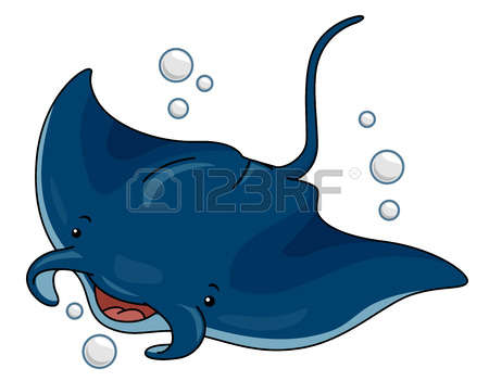 Manta Rays Images & Stock Pictures. Royalty Free Manta Rays Photos.