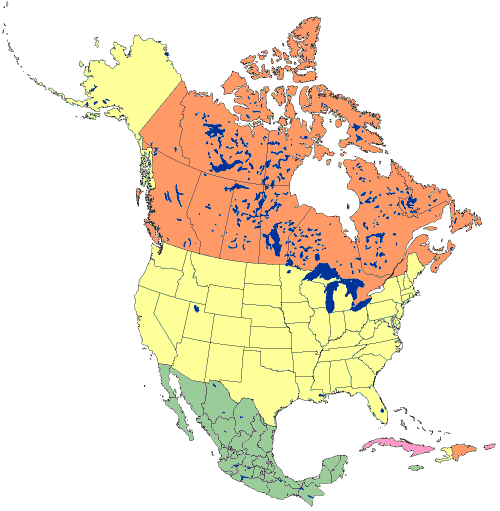 North America Map clipart.