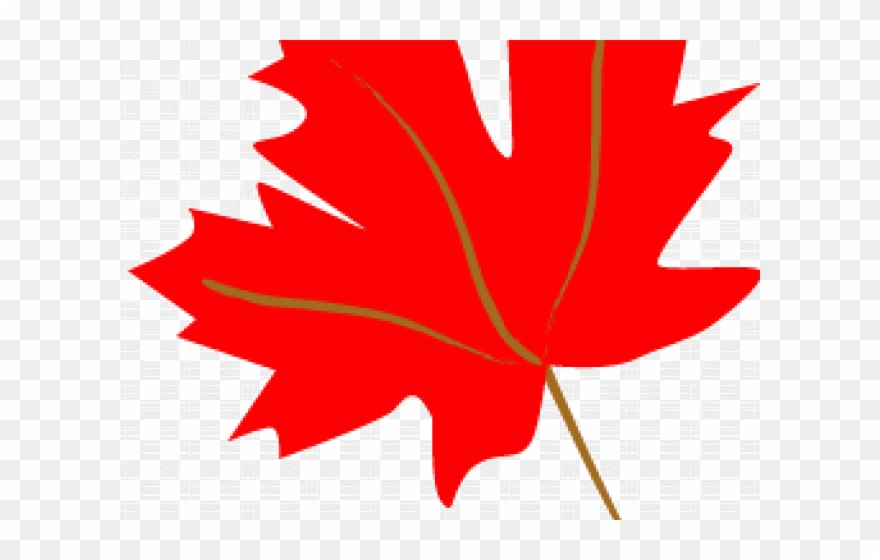 Maple Leaf Clipart Single Green Leave.