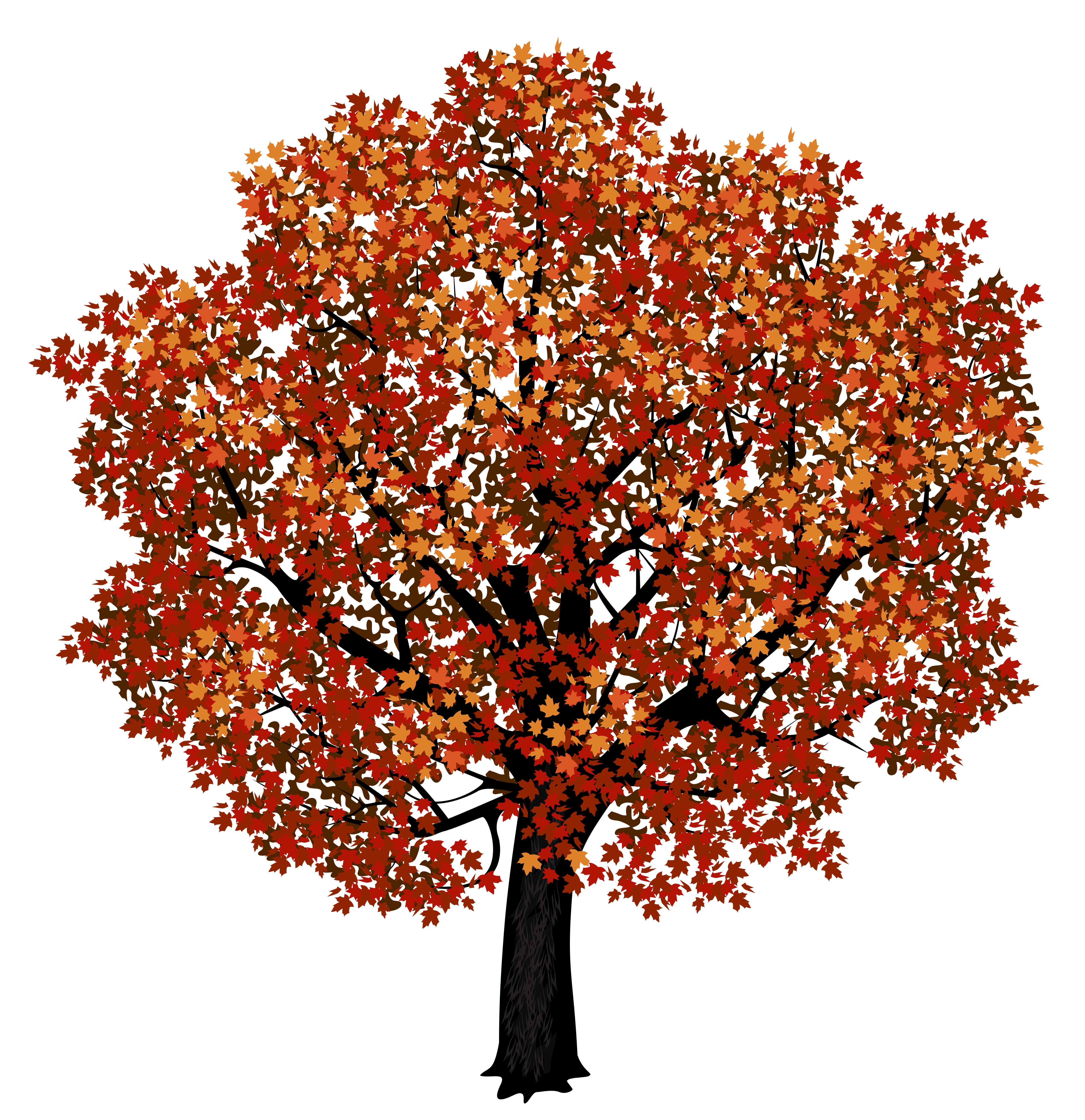 Red Maple Tree PNG Clipart Picture.