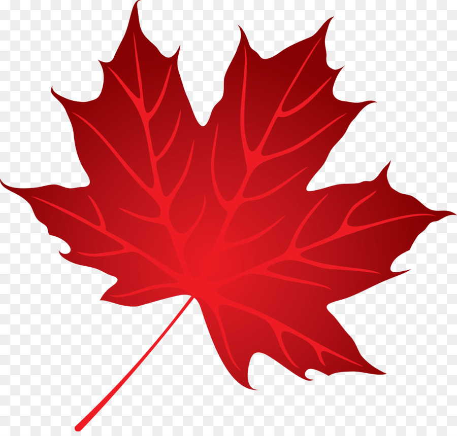 Maple Leaf Png (99+ images in Collection) Page 2.