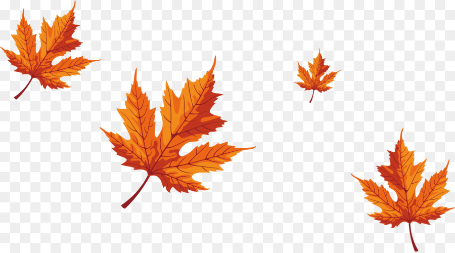 Red Maple Tree png download.