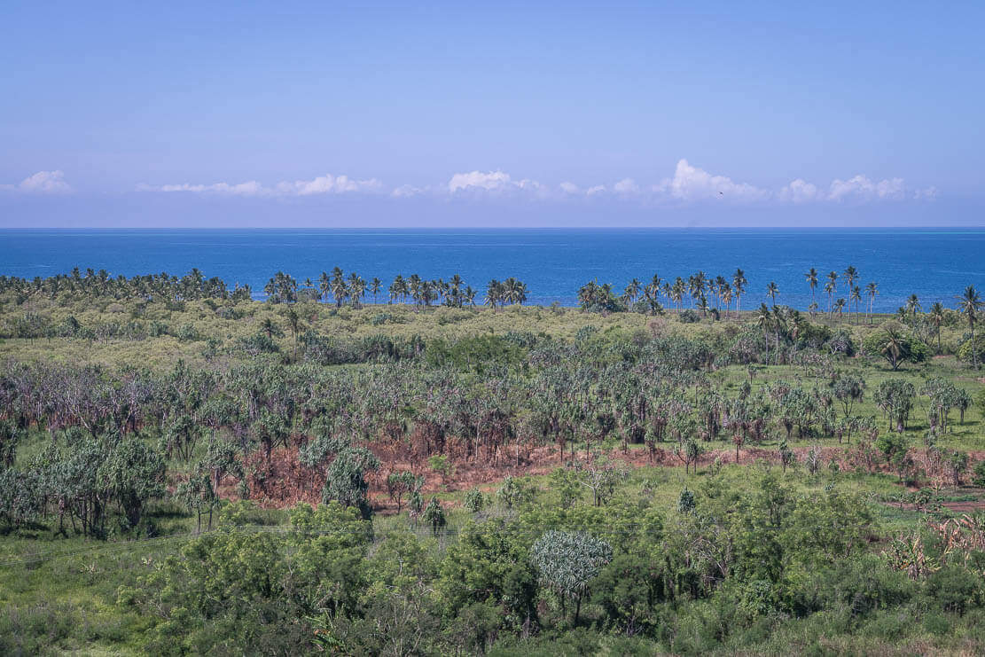 Bushwalking in PNG: surroundings of March Girls resort.