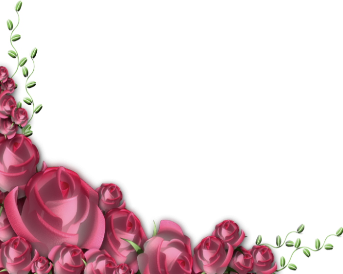 Marcos De Rosas Png Vector, Clipart, PSD.