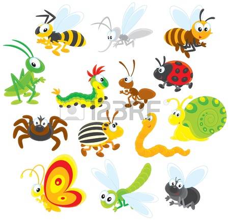 Marienkäfer Larva Clipart 20 Free Cliparts 