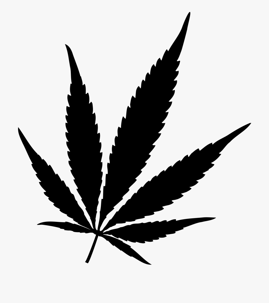 marijuana leaf png 10 free Cliparts | Download images on Clipground 2024