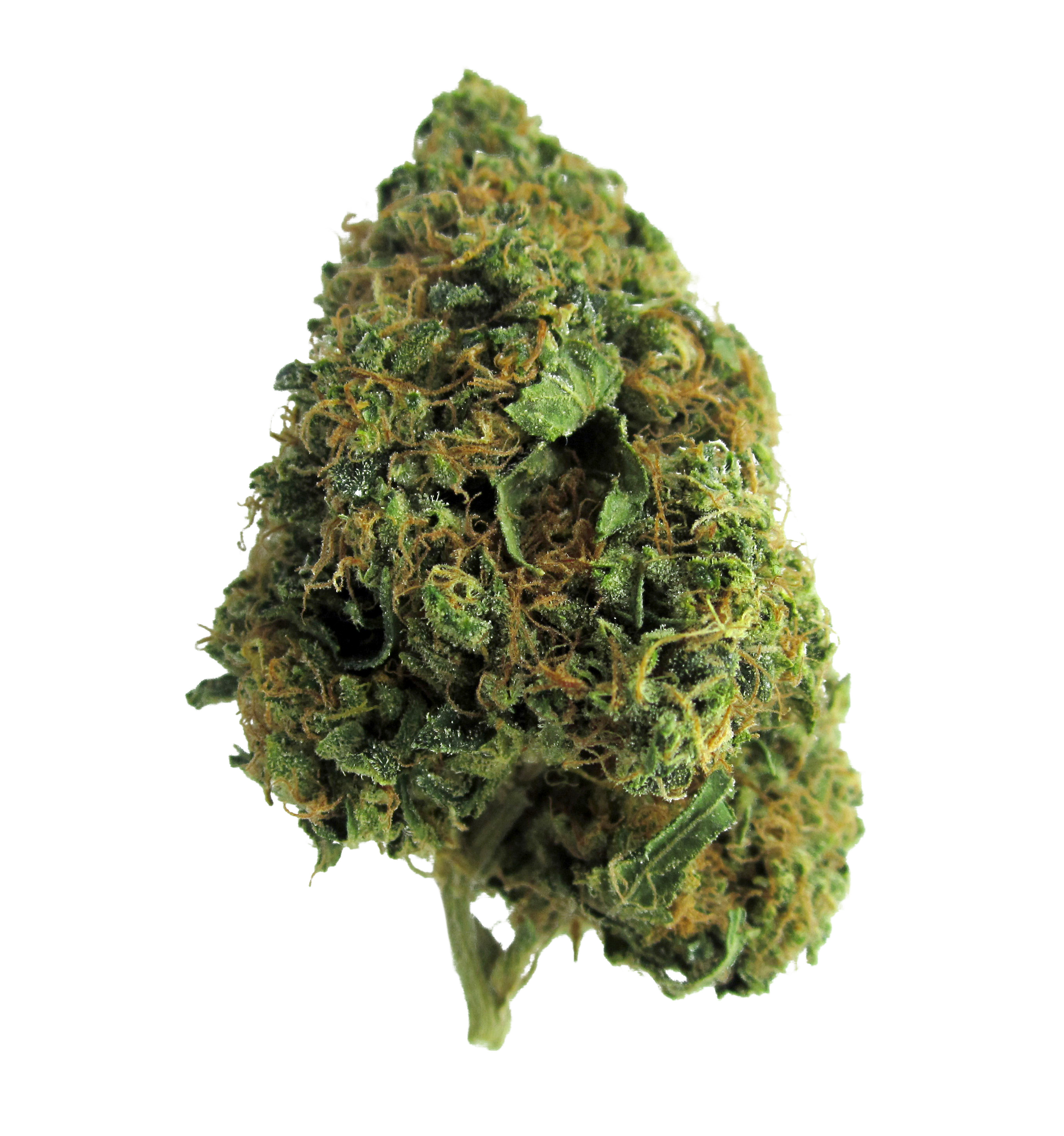 Weed PNG HD Transparent Weed HD.PNG Images..