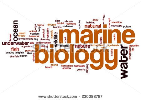 Marine Biology Clipart.