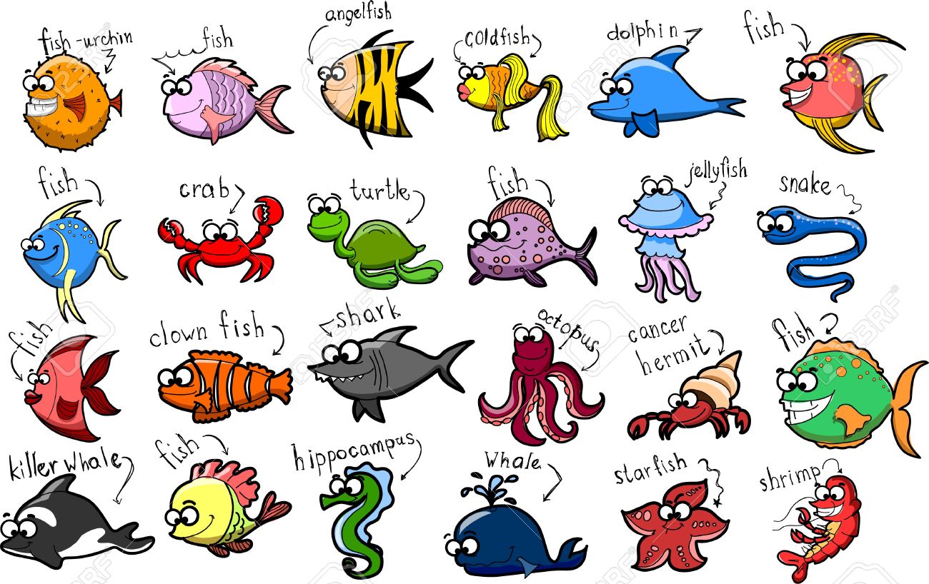 Marine mammal clipart 20 free Cliparts | Download images on Clipground 2021