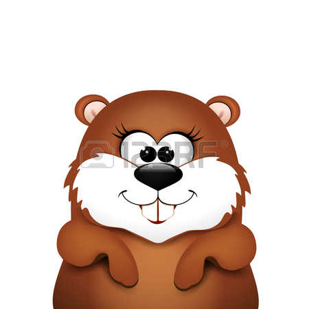 Marmot Cute Images & Stock Pictures. 1,507 Royalty Free Marmot.