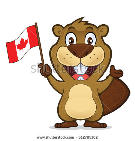 Beaver Stock Images, Royalty.
