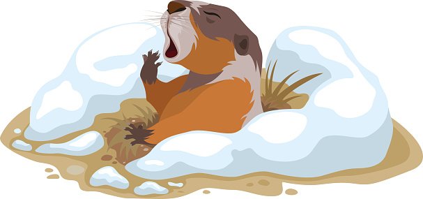 Groundhog Day. Marmot climbed out of hole and yawns Clipart.