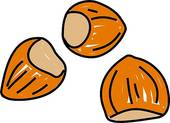 Edible Nut Stock Illustrations.