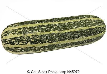 Stock Photo of Large green bush marrow isolated on a white.