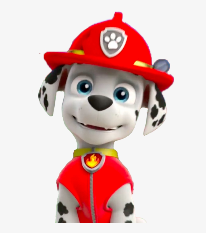 Arriba 90+ Foto Imágenes De Marshall De Paw Patrol Alta Definición