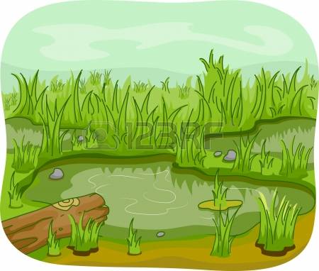 1,430 Marshes Stock Illustrations, Cliparts And Royalty Free.