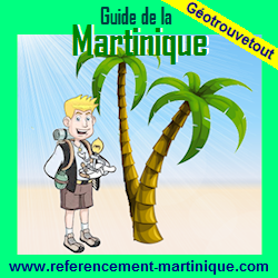 Climate of Martinique, seasons, when going on holiday ?.