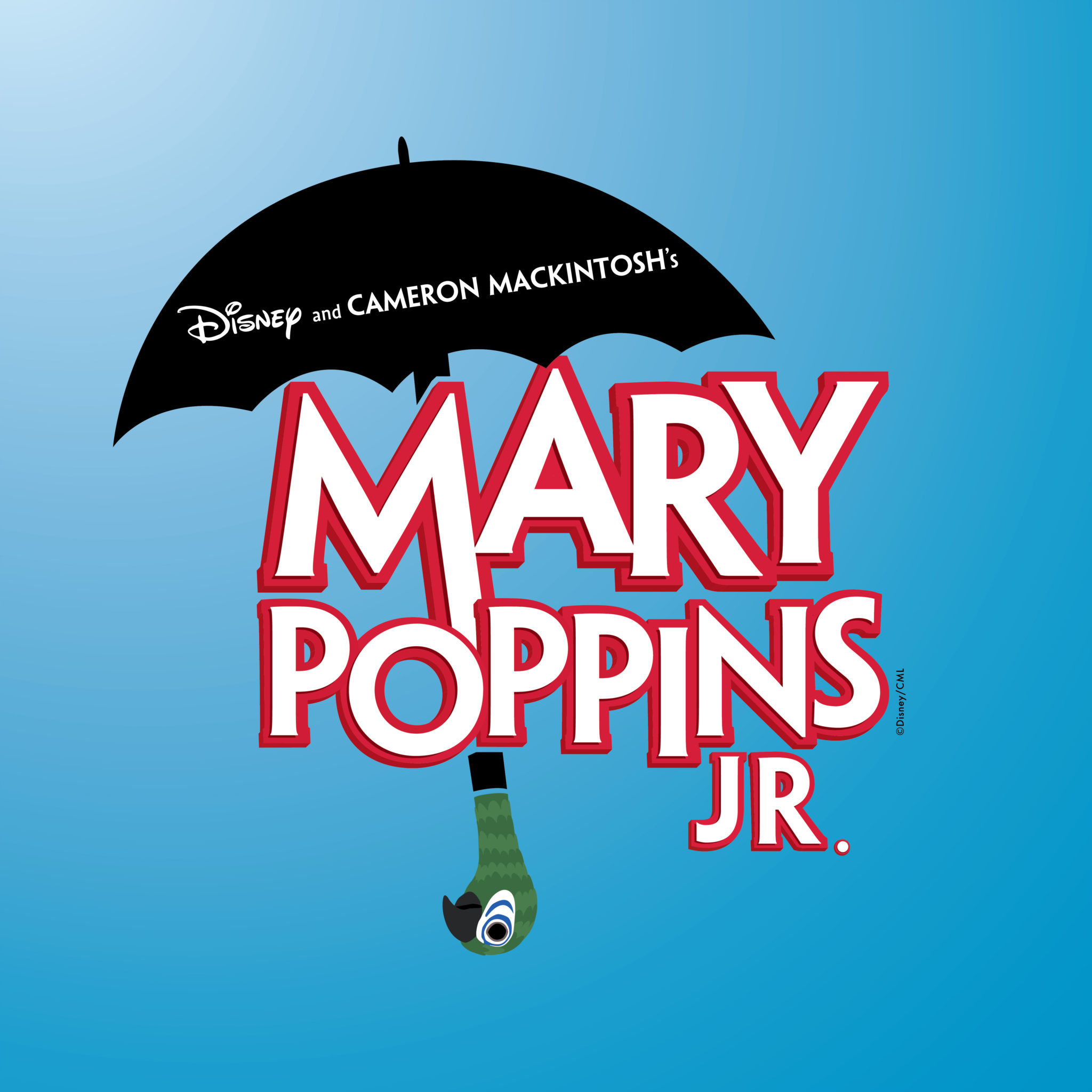Your Teen Could Star in Mary Poppins Jr..