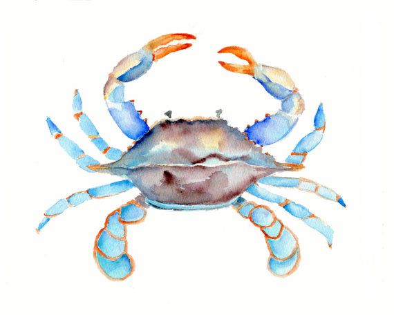 maryland blue crab clipart 10 free Cliparts | Download images on