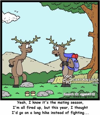 Mating Season Cartoons and Comics.